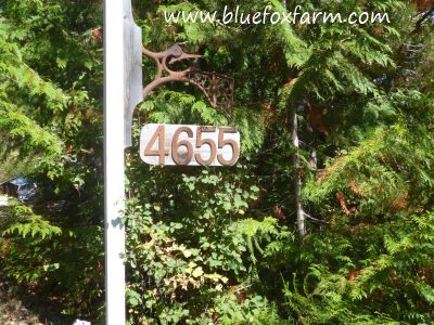 House numbers with a back drop of greenery
