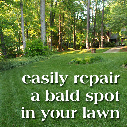 How To Patch Bare Spot In Lawn