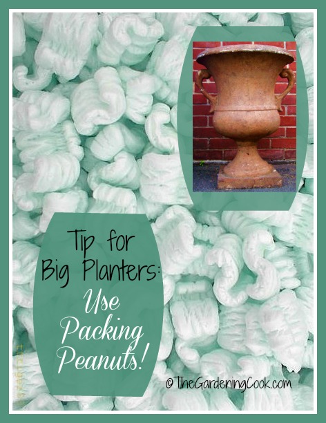 Planting Tips for Big Pots 