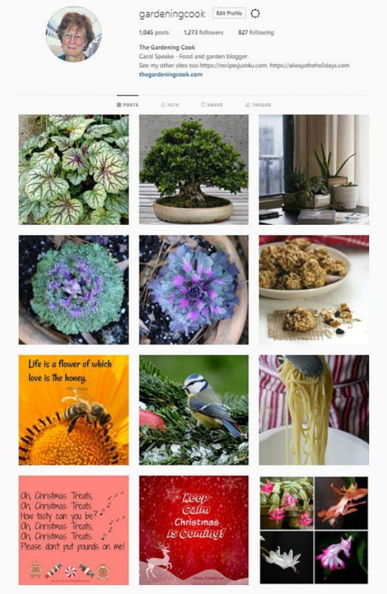 The Gardening Cook on Social Media [Facebook Pinterest Twitter]