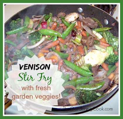 Venison Stir Fry with garden fresh veggies