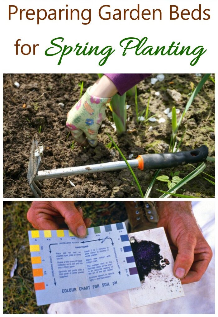 Now is the time to think about preparing spring flower beds for planting. See my tips for making sure your garden beds are ready.