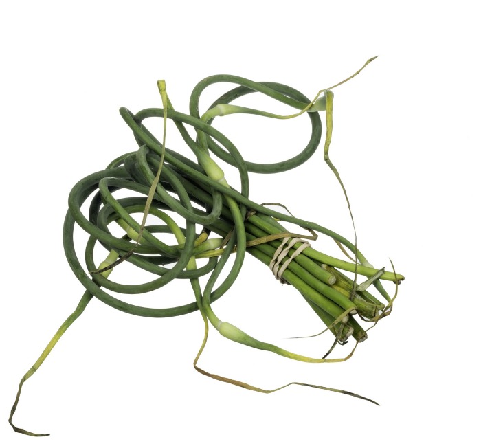 Garlic scapes are edible and fragrant