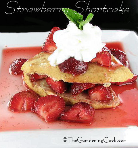 Strawberry Shortcake on a plate with whipped cream and text reading strawberry shortcake.