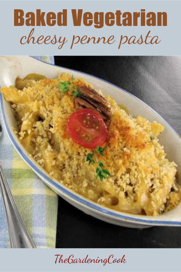 Vegetarian Penne Pasta Recipe A Deliciously Cheesy Delight