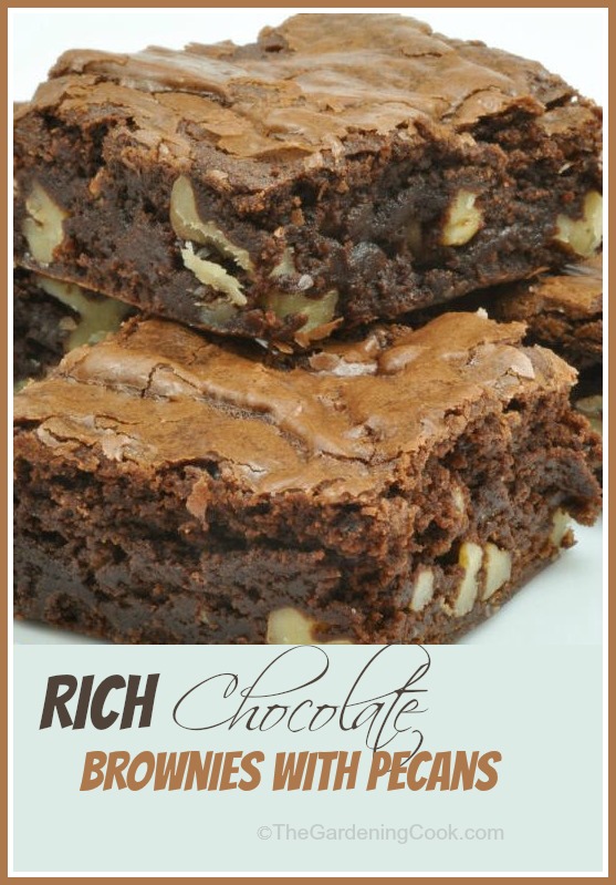 Rich Chocolate brownies with Pecans
