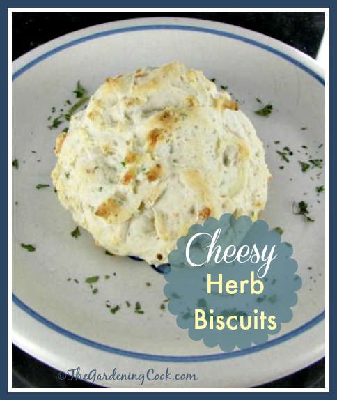 Cheesy herb biscuits with tarragon make a great side for a soup, stew or casserole