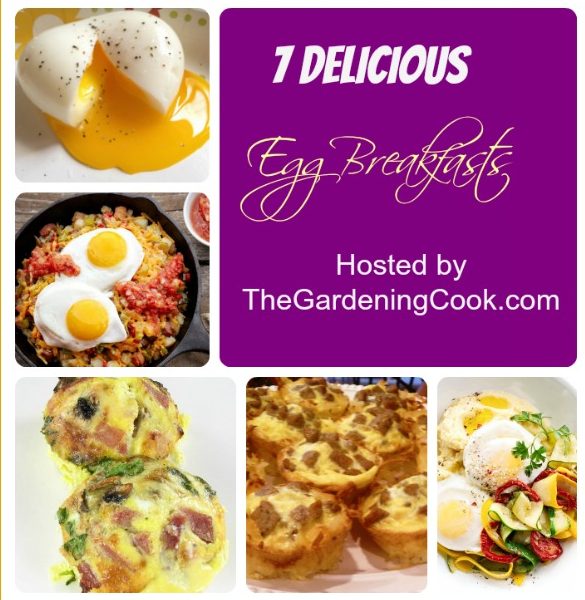 7 delicious Egg breakfasts to start your day off right.