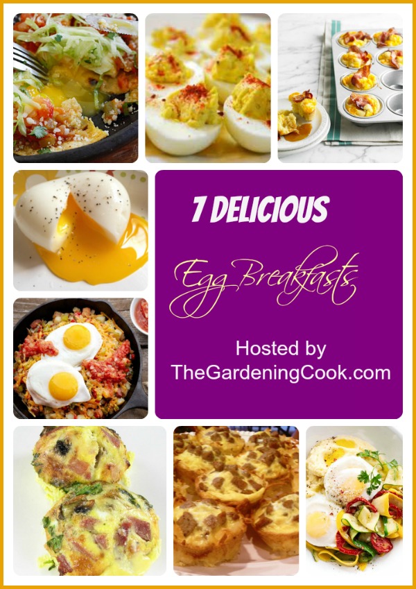 7 delicious Egg breakfasts to start your day off right.