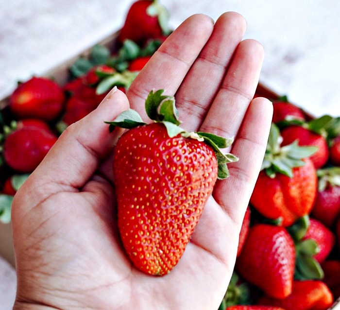 hand holding a plump strawberry