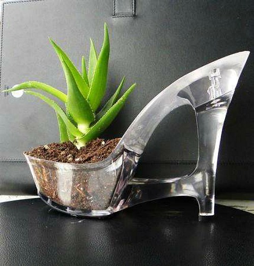 Acrylic heel planter with succulent