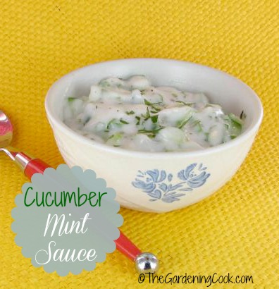 This cucumber mint sauce is the perfect condiment for Indian foods.