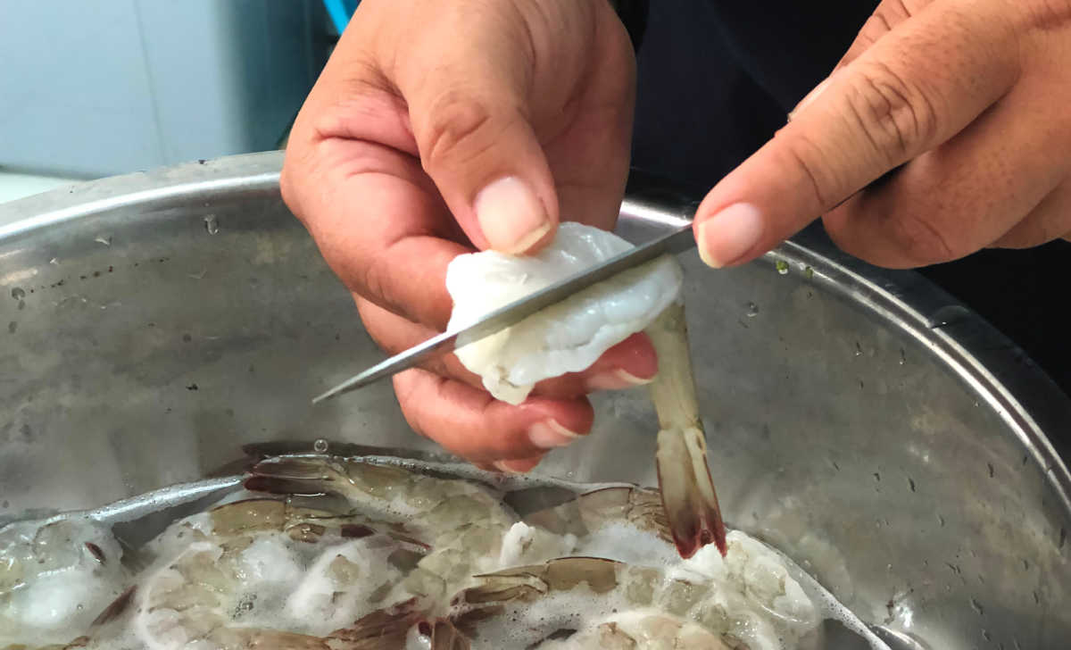 Hands making a cut in a shrimp.