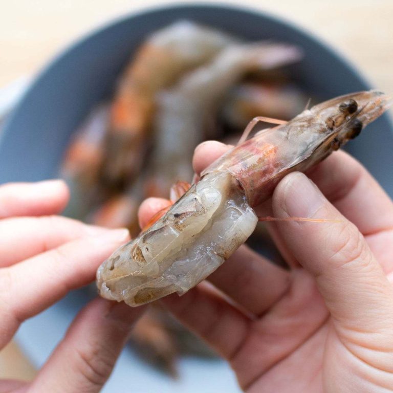 Hands holding a deveined shrimp.