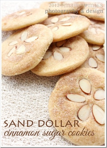 Sand Dollar Sugar Cookies