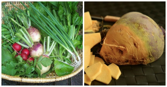 Growing Rutabagas - Storing, Cooking & Health Benefits