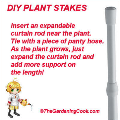 Curtain rods as expandable plant supports.