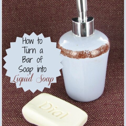 A bar of soap and dispenser next to a scalloped text block that reads How to turn a bar of soap into liquid soap.