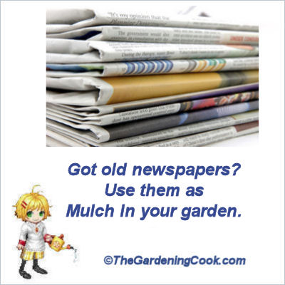 Use newspapers as mulch.