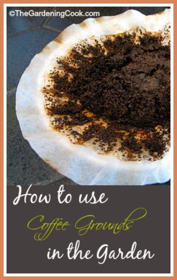 Don't throw those used coffee grounds away. See how to use them in the garden! thegardeningcook.com