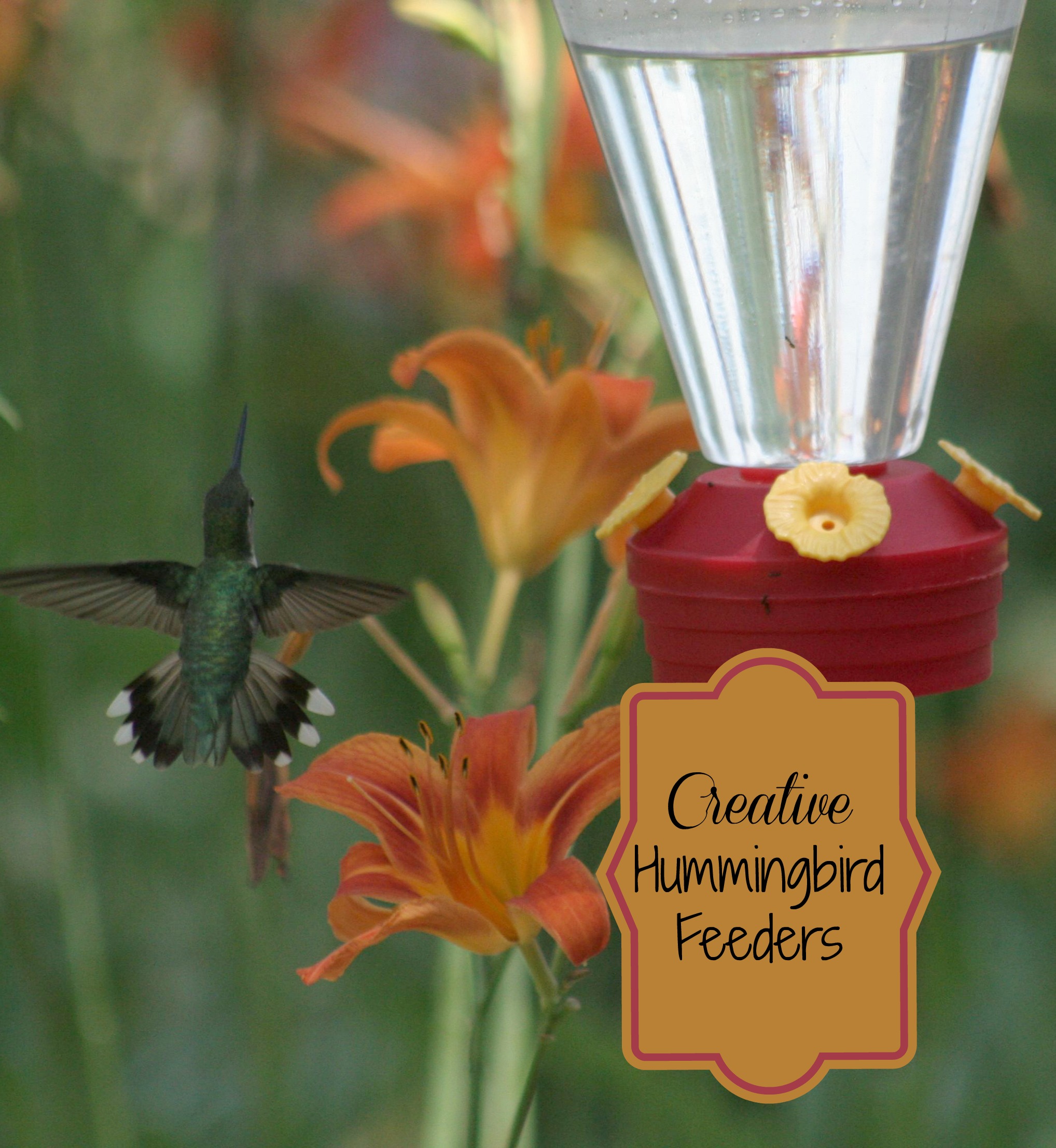 Round up of creative hummingbird feeders