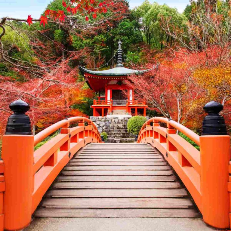 Kyoto Daigoji with walkway and blossoms.