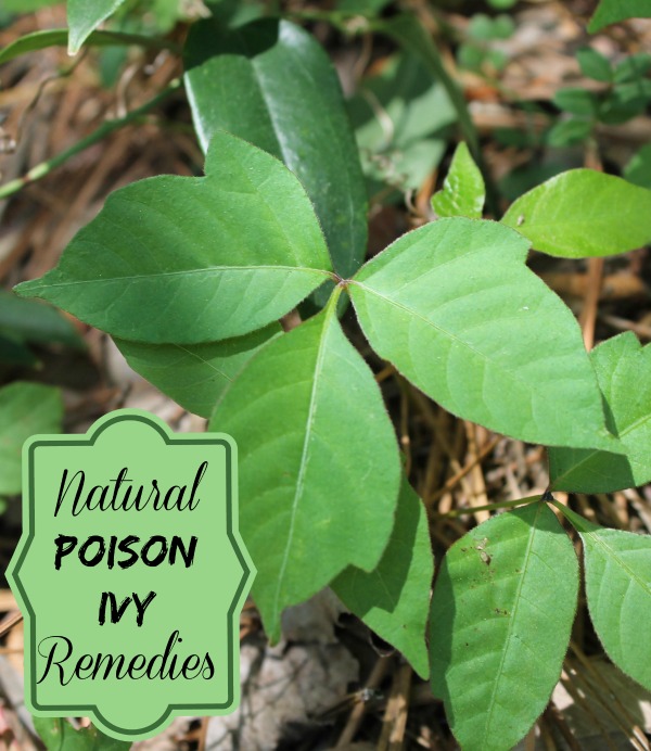 Leaves of three...leave them be. But what do you do if you get a case of poison ivy? See my natural remedies.