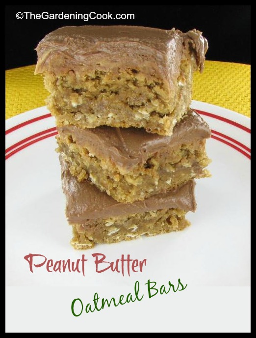 Peanut butter oatmeal bars with chocolate frosting.