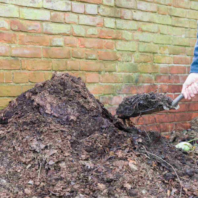 Man with a pitchfork turning a compost pile.