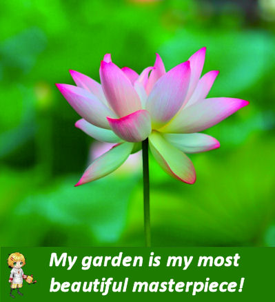 Inspirational Flower Quotes To Motivate The Gardening Cook