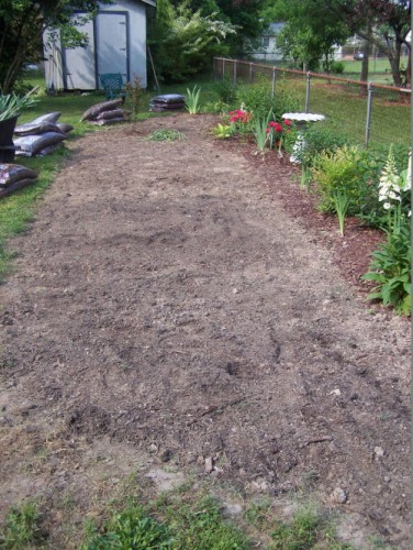 Test garden in May