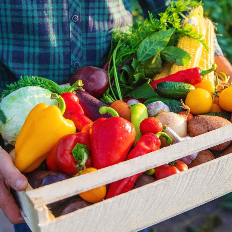 Where do you keep your vegetables when the season ends?