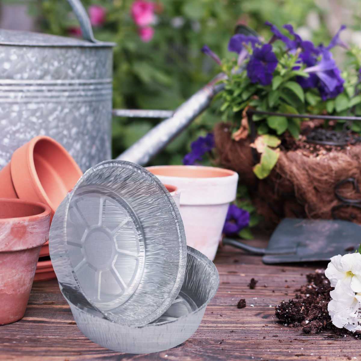 Disposable pie plates on a garden bench with a galvanized watering can and clay pots.