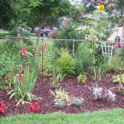 Pretty garden bed along a chain link fence.