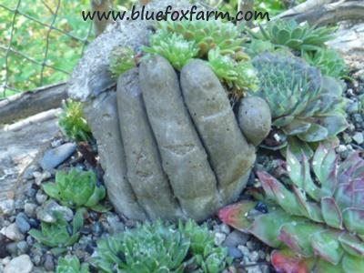 Creaetive garden planters idea: Hypertufa hands and succulents