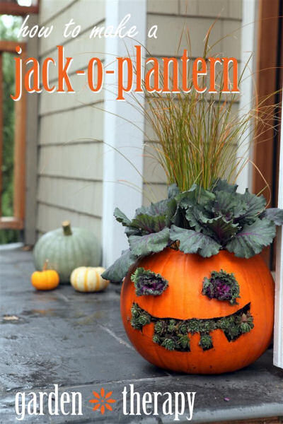 Jack-O-Plantern planted with succulents.