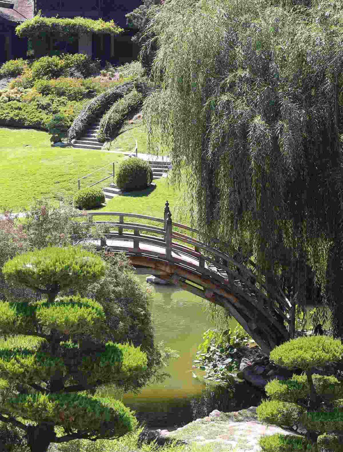 Meditation Garden Ideas - Creating a Backyard Meditation Space
