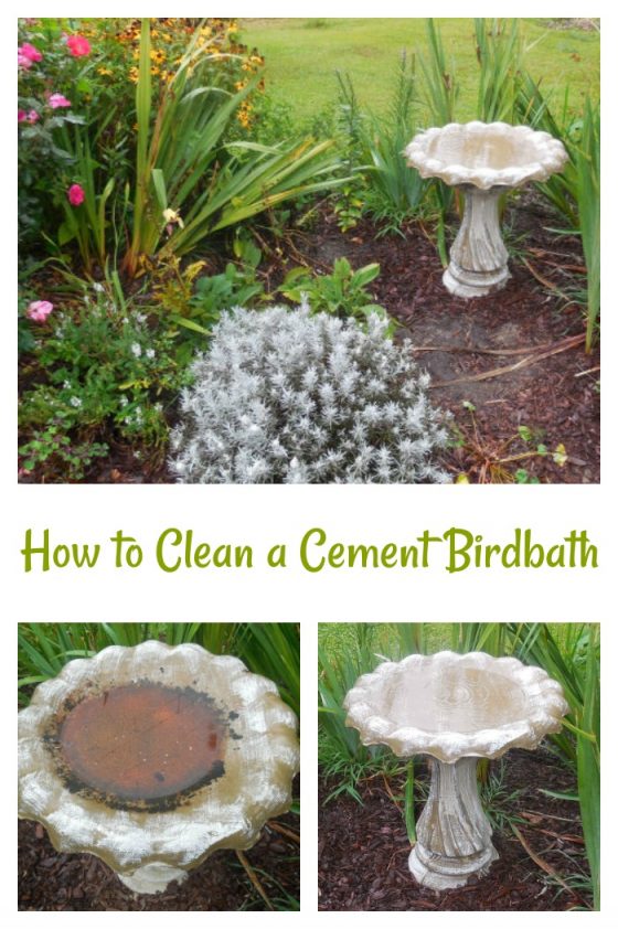 How to Clean A Cement Bird Bath in Just Minutes The Gardening Cook