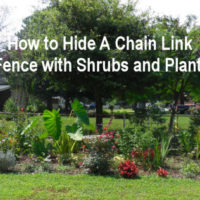 How to Hide a Chain Link Fence with Shrubs and Plants