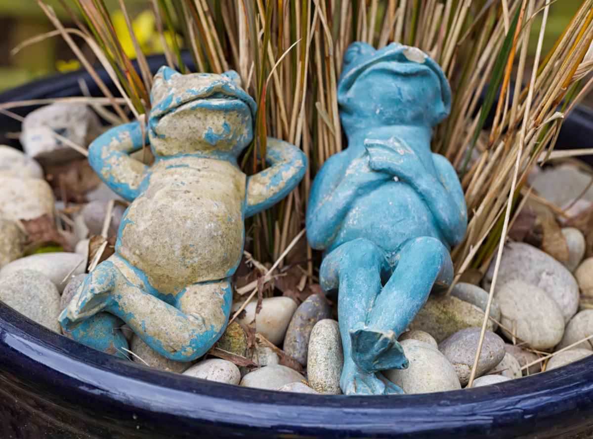 Two blue frogs in a garden pot.