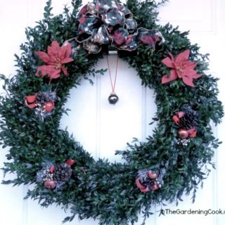 DIY Holiday Boxwood Wreath form