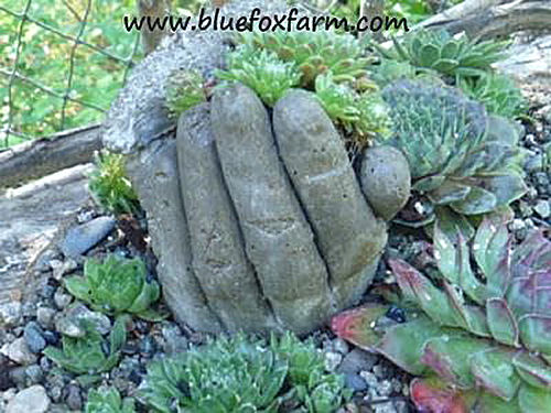 Hypertufa Hands Planter from bluefoxfarm.com