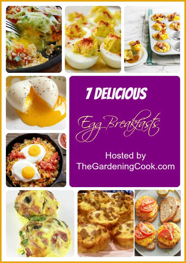 Collage of breakfast recipes and the words 7 delicious egg breakfasts.