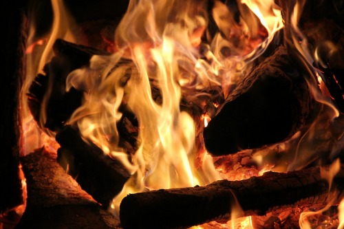 make fire starters for your fireplace