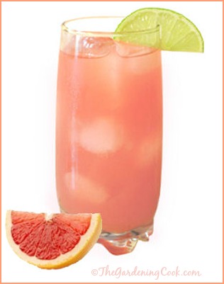 Grapefruit, cranberry Sea Breeze Cocktail.