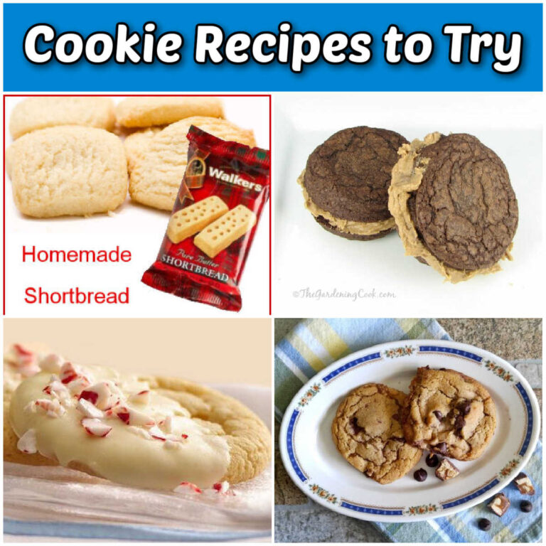 Shortbreads, whoopie pies, sugar cookie and peanut butter chocolate cookies in a collate. Blue text reads Cookie recipes to try.