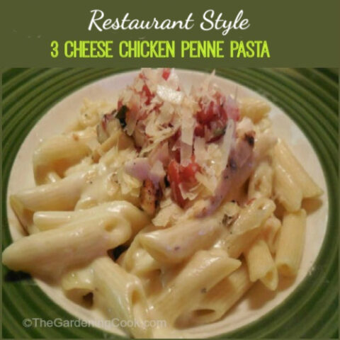 Cheesy pasta on a white dish with words Restaurant style 3 cheese chicken penne pasta.