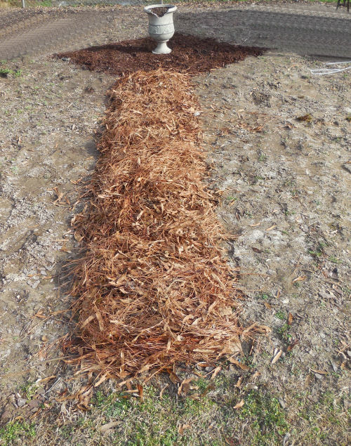 Pine needles and pin oak leaves add more weed control to the paths