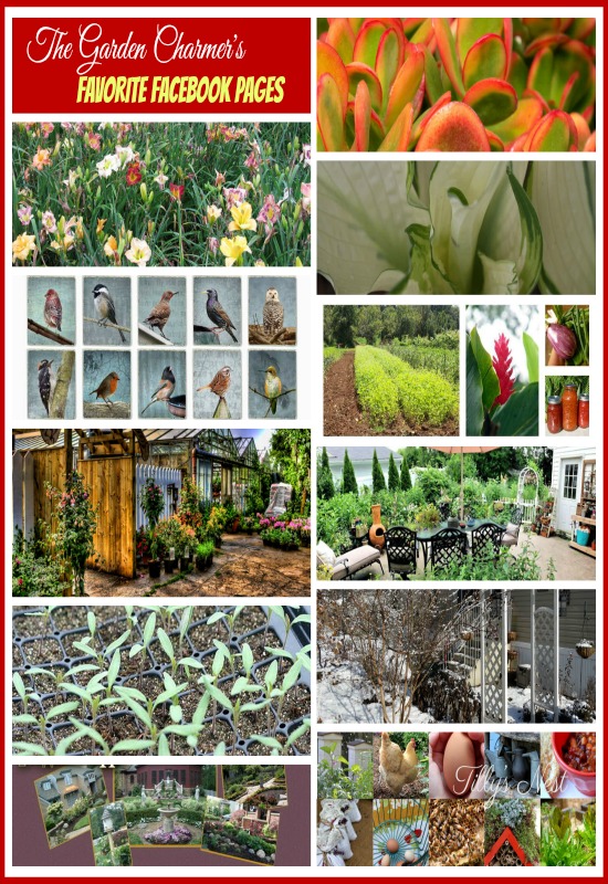 The Garden Charmers Favorite Facebook pages