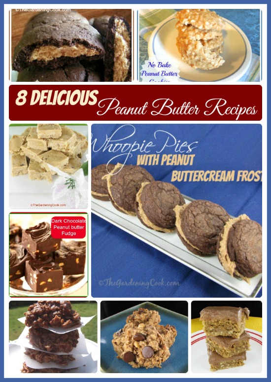 8 Great Tasting Peanut Butter Recipes